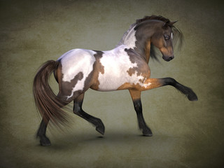 Beautiful spotted horse. 3D-visualization