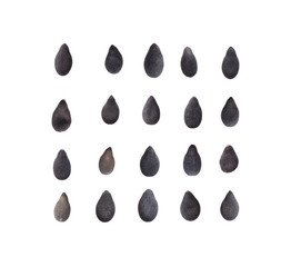 black sesame isolated on white background