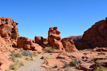 Fototapeta premium Valley of Fire - Nevada USA