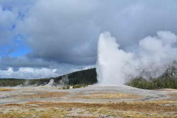 Yellowstone Nationalpark