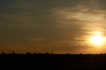 Sunset for Sale La Rubia. Madrid. Spain