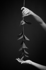 Black and white art fashion surrealistic portrait of beautiful woman,details of body black and white portrait of beautiful girl,fashion and art,portrait with plants and flowers