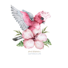 Pink and grey cockatoo parrot and floral exotic illustration, tropical leaves. Hand drawn watercolor isolated on white background