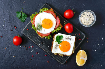 Fototapeta na wymiar Rye toasts with mashed avocado, fried egg, fresh tomato, herbs. Tasty breakfast. Proper nutrition. Sandwich with egg. The top view