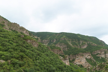Fototapeta na wymiar Majestic mountain landscape. Green forest in hilly area in summer in cloudy weather