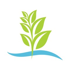 Fototapeta na wymiar eco green plant