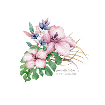 Pink flower Hand drawn watercolor illustration on white background.