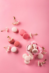 Roze macaroons in gift box and Cherry blossoms