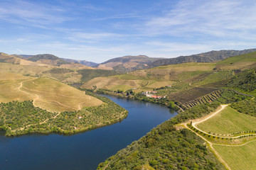 Fototapeta na wymiar Douro river wine valley region drone aerial view, in Portugal