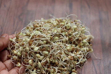 Germinated or sprauted beans in white bowl