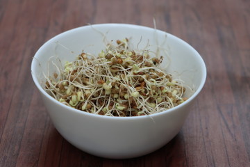 Germinated or sprauted beans in white bowl