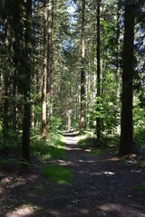 Obraz premium Monfort, meu, campagne, ille-et-vilaine, architect