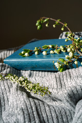 The book is lying on a cozy blanket, a sprig of green with white flowers sticking out of the book