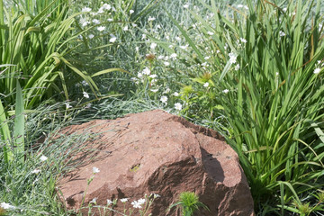 Green natural eco background