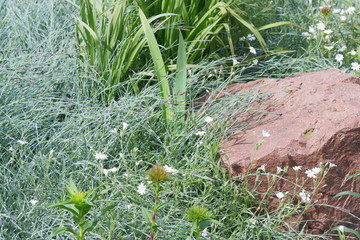 Green natural eco background