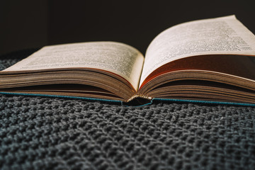 A book of Russian literature is lying on a gray blanket, a romantic setting