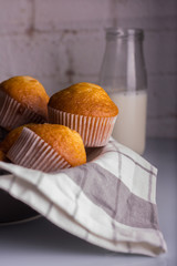 Delicious freshly made muffins in a bowl covered with a gray and white cloth. Accompanied by a bottle of milk.