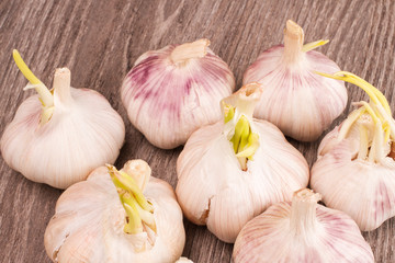 A bunch of garlic on a wooden background.