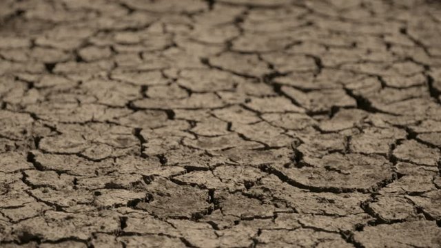 Drought cracked soils, dry-cracked lakes, drought soil at river bottom. Ecosystems caused by climate change. Drought concept.dried and cracked soils. thirst and desertification. focus on cinematic