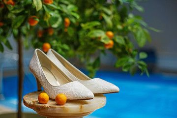 Beautiful wedding shoes background tangerine, great design for any purposes. . Abstract blue background. Tropical wedding concept