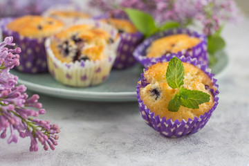 Blueberry muffins in multi-colored baskets on a plate and one close-up decorated with lilac branches