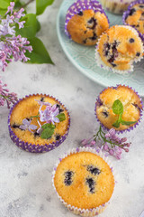 Blueberry muffins in multi-colored baskets on a plate and a gray background decorated with branches of lilac