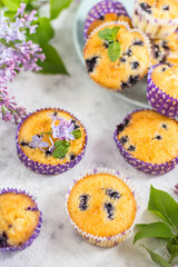 Blueberry muffins in multi-colored baskets on a plate and a gray background decorated with branches of lilac