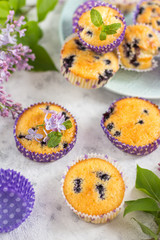 Blueberry muffins in multi-colored baskets on a plate and a gray background decorated with branches of lilac