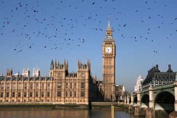 Fototapeta na wymiar London city, England. Black birds over city.