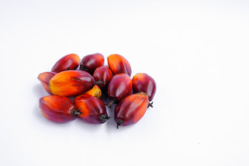 fresh oil palm fruits isolated on white background, selective focus.