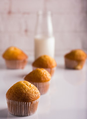 
Five delicious freshly made muffins. One focused and four unfocused. Milk bottle. Vertical format.