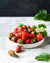 Fresh strawberries in a bowl on a gray background, still life