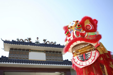 Fototapeta na wymiar Lion head costume in front of a chinese temple