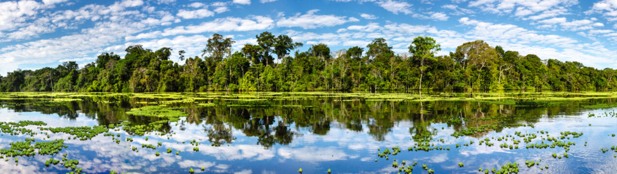 Panoramic view on the Marañon River in the Pacaya Samiria Reserve in Peru, near Iquitos. The river of mirrors. Selective focus. Rainforest landscape.