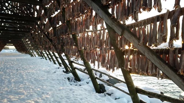 Lofoten &ndash; Winter im Hohen Norden - Norwegen