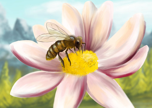 Honeybee sitting on a flower