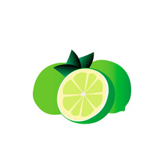 Illustration of lime. Half lime. Vector lime with green leaf. Citrus.