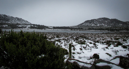 Scattered layer of snow on Quamby Bluff, a mountain in Northern Tasmania and an outlying part of...