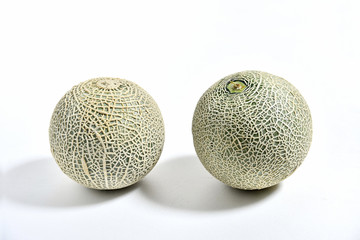 白背景のクインシーメロン