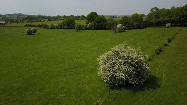 Belgique Wallonie Paysage Ardenne bois foret environnement
