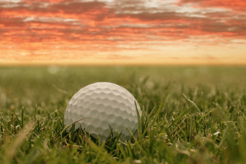 golf ball on green