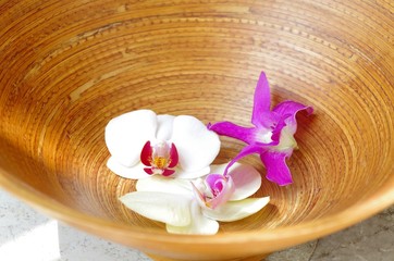 Verschiedene Orchideenblüten in Bambusschale