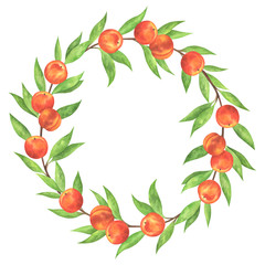 Watercolor Peach Wreath