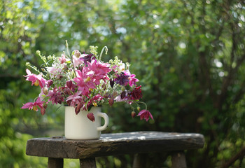A bouquet of pink Aquilegia flowers in a white cup on a rough wooden bench