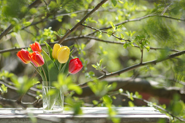 Bouquet of colorful bright tulips in a glass on a table top outdoor on a sunny spring day. Still life with flowers