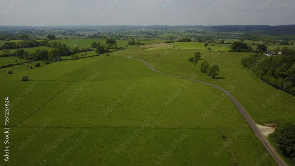 Poster Belgique Wallonie Paysage Ardenne bois foret environnement