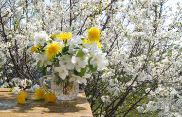 bunch of apple flowers and yellow dandelions in a glass mug in a white lush blooming garden