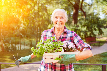 Happy senior woman in summer at gardening