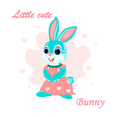 cute little bunny isolated on white background