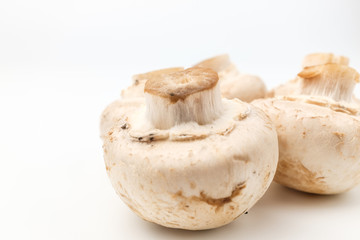 Button mushroom on white background